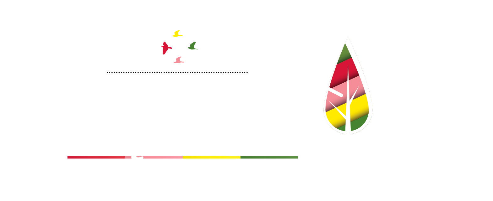 Kolory Łęgów – Apartamenty i Wypożyczalnia Rowerów Logo
